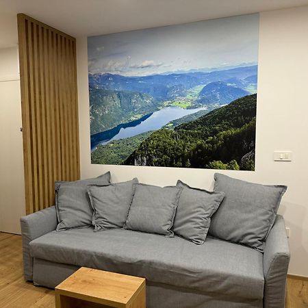 Apartma Tisa Bohinj-No Ouside Windows Экстерьер фото