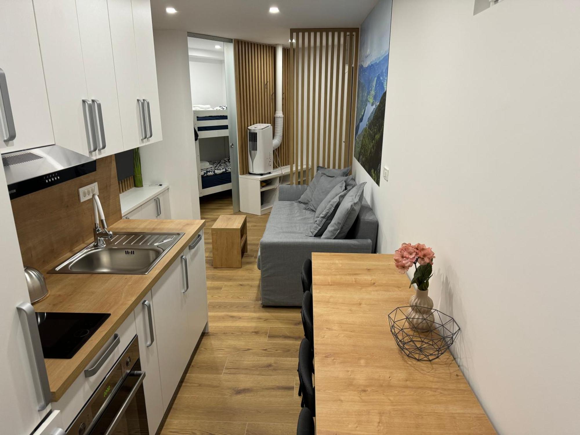 Apartma Tisa Bohinj-No Ouside Windows Экстерьер фото