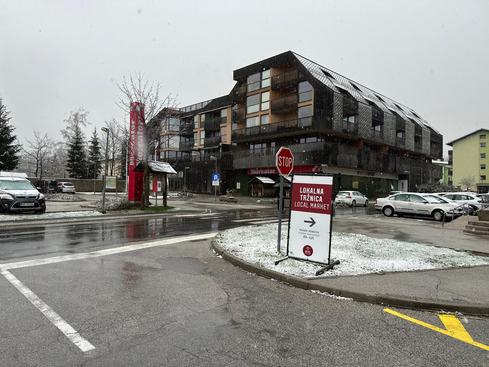 Apartma Tisa Bohinj-No Ouside Windows Экстерьер фото