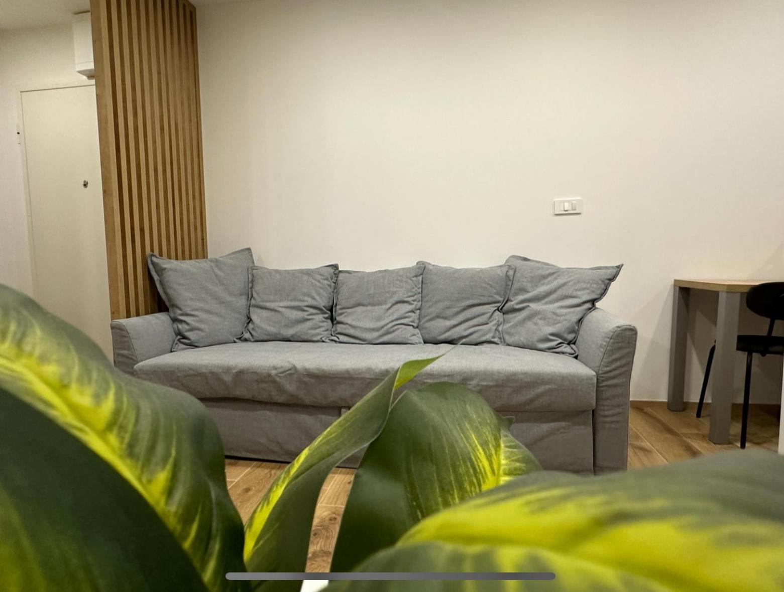 Apartma Tisa Bohinj-No Ouside Windows Экстерьер фото