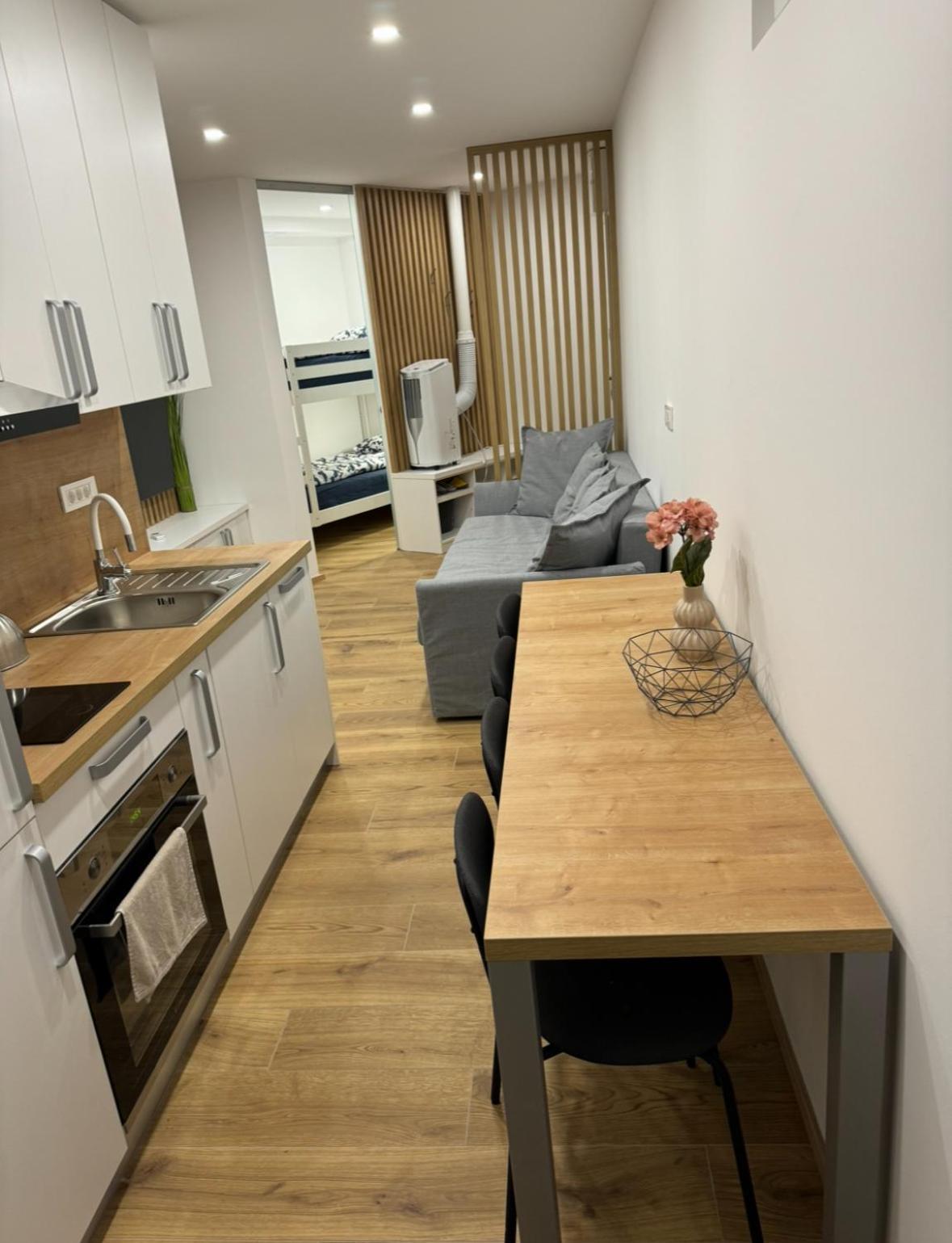 Apartma Tisa Bohinj-No Ouside Windows Экстерьер фото